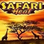 Safari Heat
